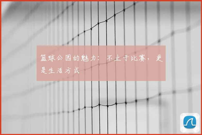 篮球公园的魅力:不止于比赛,更是生活方式
